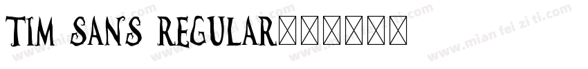 TIM Sans Regular字体转换